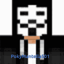 Poky Mantella501 Youtuber GIF - Poky Mantella501 Youtuber Firs GIFs