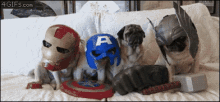 Pug Avengers GIF - Avengers Funny Pugs GIFs