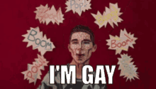 Im Gay I Am Gay GIF - Im Gay I Am Gay Im GIFs