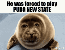 He Was Forced To Play Pubg Newstate GIF - He Was Forced To Play Pubg Newstate Pubg GIFs