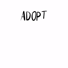adopt adoption newfamily adoptdontshop shelter