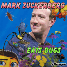 Mark Zuckerberg Bug GIF - Mark Zuckerberg Bug Bugs GIFs