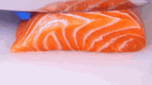 salmon cut knife