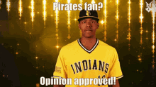 Pirates Fan Pirates Fan Opinions GIF - Pirates Fan Pirates Fan Opinions Pirates Fan Opinion Approved GIFs