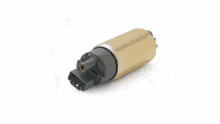 capacitor motor induction motor