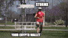 Stmx Cashback GIF - Stmx Cashback Wallet GIFs
