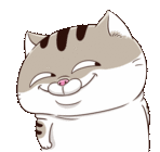 Ami Fat Cat Hmm Sticker - Ami Fat Cat Hmm Lol Stickers