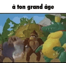 Donkey Kong A Ton Grandâge GIF - Donkey Kong A Ton Grandâge âge GIFs