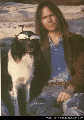Neil Young: Actualidad - Página 7 Neilyoung-dog