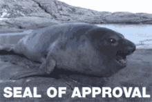 Approve Seal GIF - Approve Seal Approval GIFs