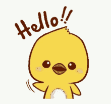 Hello Chicken GIF - Hello Chicken Cute GIFs