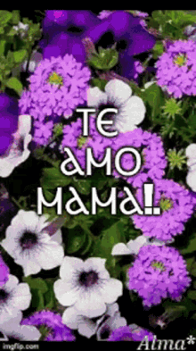 Te Amo Mama GIF - Te Amo Mama I Love You GIFs