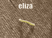 eliza worm