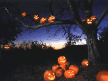 Happy Halloween Scary GIF - Happy Halloween Scary GIFs