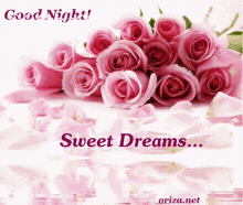 Sweet Dreams शुभरात्रि GIF - Sweet Dreams शुभरात्रि शुभ GIFs