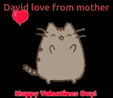 David Mother GIF - David Mother Cat GIFs