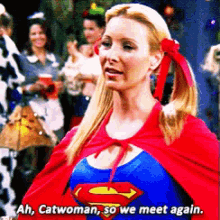 Friends Catwoman GIF - Friends Catwoman Superman GIFs