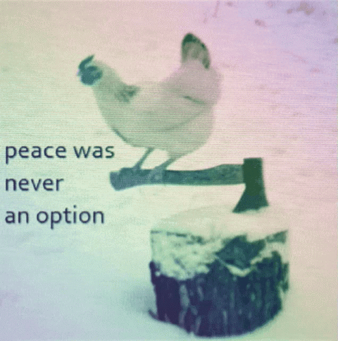 peace-was-never-an-option-chicken.gif