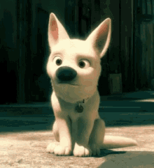 Disney Bolt GIF - Disney Bolt Superdog GIFs