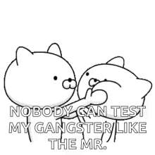 slap bears funny slap bears funny