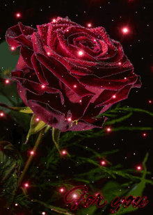Flower Rose GIF - Flower Rose Sparkles GIFs