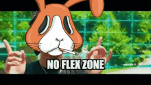 No Flex Zone Flex GIF - No Flex Zone Flex Zone GIFs