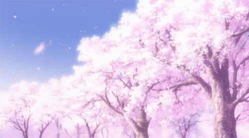 日本　桜 GIF - Japan Nihon Sakura GIFs