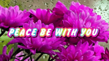 Peace Be With You Flowers GIF - Peace Be With You Flowers Pink GIFs