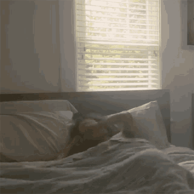 Just Woke Up Less Than Jake GIF Just Woke Up Less Than Jake Lie To Me Song Discover & Share GIFs