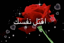 rose i love you love arabic scholastic bookfair
