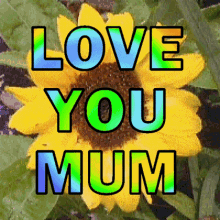 Love You Mum Love You Mom GIF - Love You Mum Love You Mom I Love My Mum GIFs
