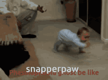 Snap Snapperpaw GIF - Snap Snapperpaw Phas GIFs
