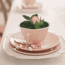tea bloom flower