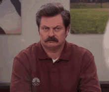glare scowl annoyed ron swanson parks and rec