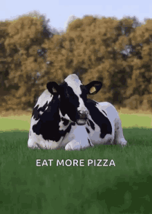 i dont care cow cowdontcare pizza