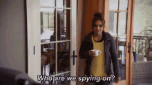 who are we spying on spying whats going on drama curious