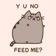 Yu No Feed Me Pusheen GIF - Yu No Feed Me Pusheen Feed GIFs