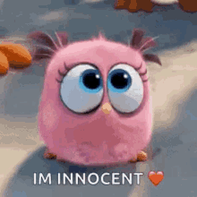 Angry Birds Puppy Eyes GIF - Angry Birds Puppy Eyes Googly Eyes GIFs