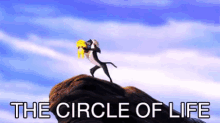 The Circle GIF - The Circle Of GIFs