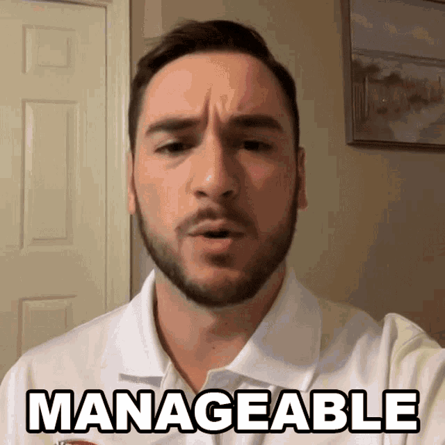 Manageable Anthony Alfredo GIF Manageable Anthony Alfredo Its