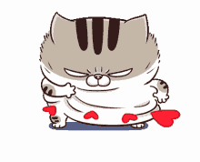 cat i