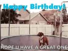 Funny Animals Happy Birthday GIF - Funny Animals Happy Birthday Trampoline GIFs