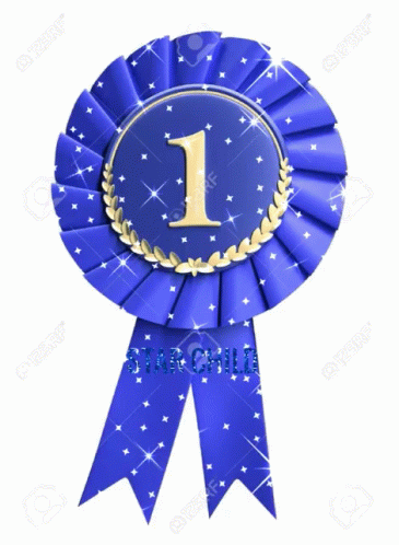1st Place Ribbon Gif Blue Ribbon First Place 1st Place Discover Share Gifs