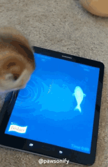 Scottish Fold Cute Cat Tablet GIF - Scottish Fold Cute Cat Tablet Tablet Cat GIFs