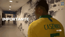 futebol selecao