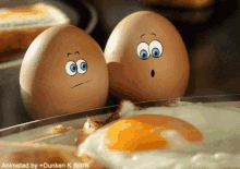 eggs omelet afraid
