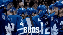 Toronto Maple Leafs Buds All Day GIF - Toronto Maple Leafs Buds All Day Buds GIFs