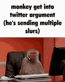 Twitter Monkey Monkey GIF - Twitter Monkey Monkey Slurs GIFs