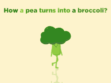 Pea Turns GIF - Pea Turns Broccoli GIFs