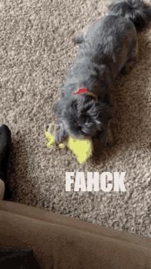 fahck pepjeff